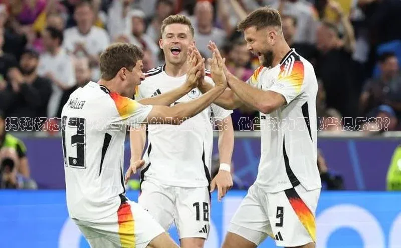 中欧体育最新地址雷柏科技