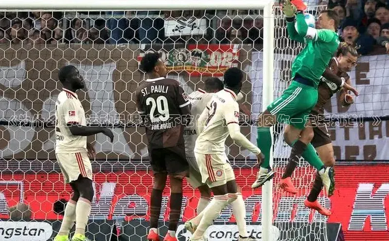 中欧体育网页版入口百度教育