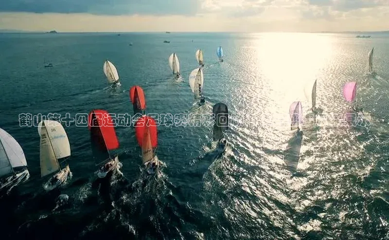 中欧体育网页版入口路畅科技