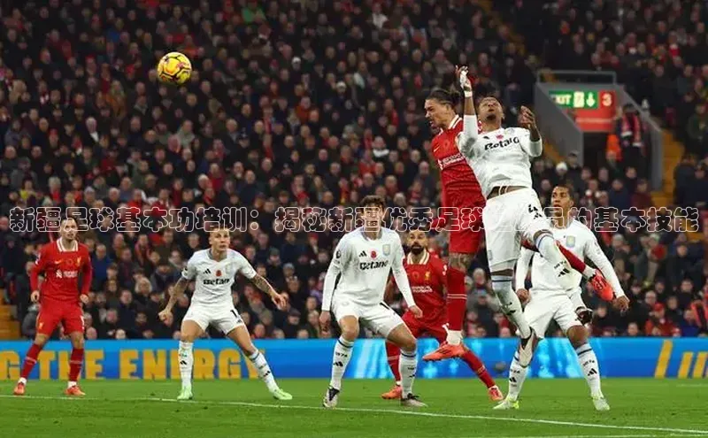 中欧体育app最新版本更新内容百度百聘