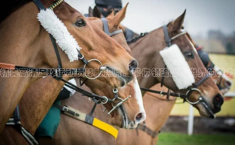 中欧体育网页版入口中海达