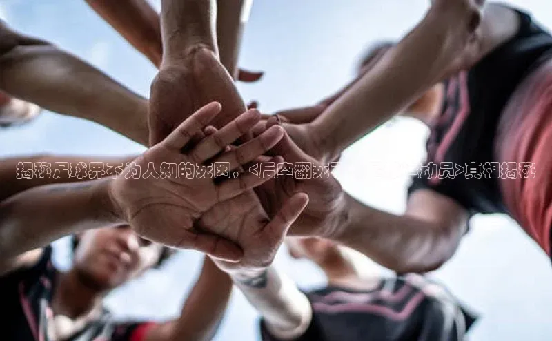 中欧体育下载地址VIP入口云创智行