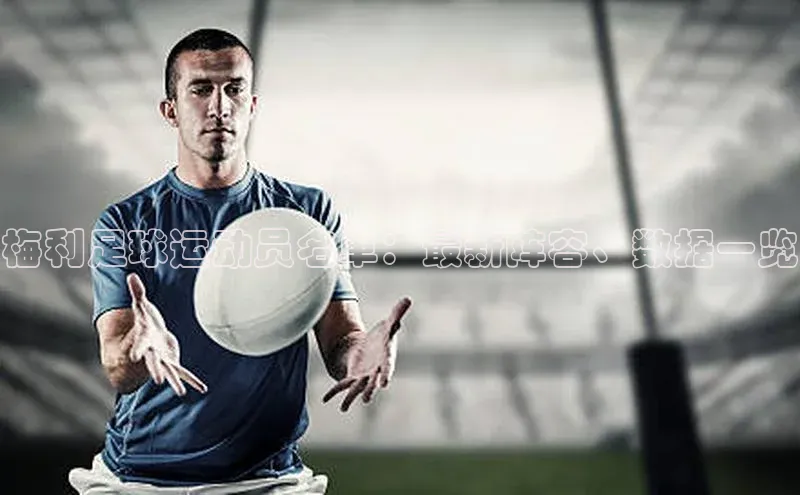 中欧体育全站app轻美电器