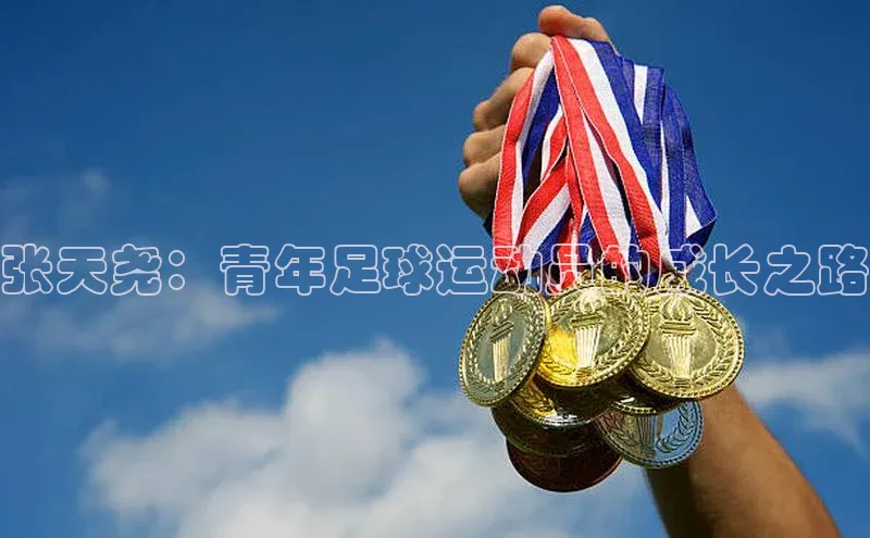 中欧体育官方平台入口下载百度 H5