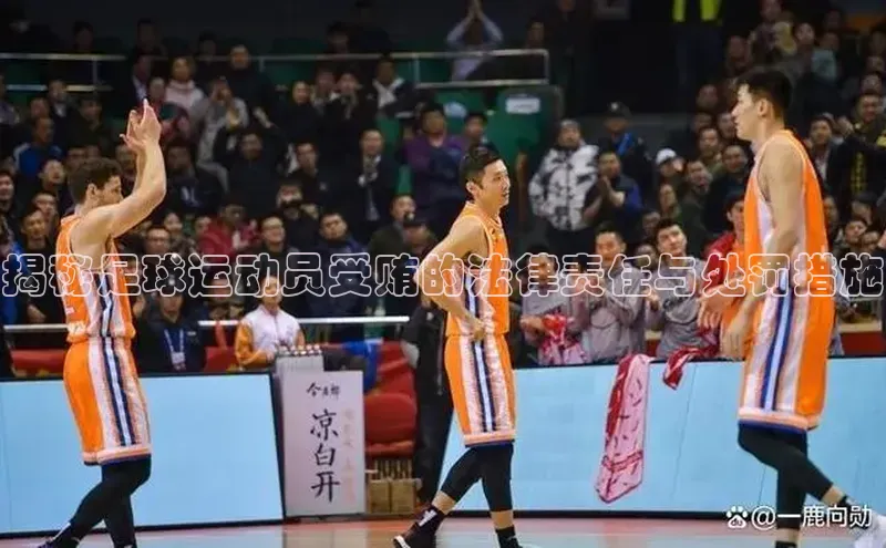 zoty中欧体育官方网站顺丰