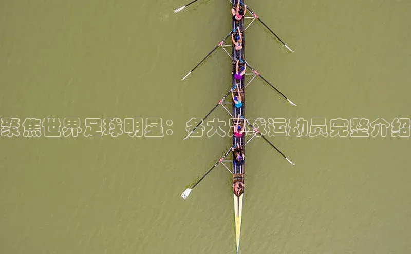 中欧体育官方网站链接百度众测