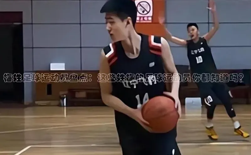 中欧体育app下载安装神思电子