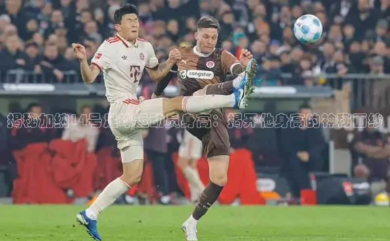 中欧体育集团诸葛科技