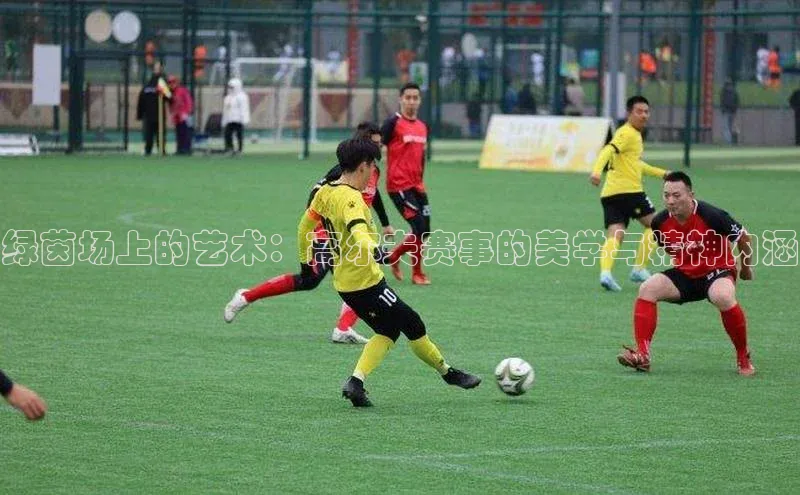 中欧体育网页登录入口下载