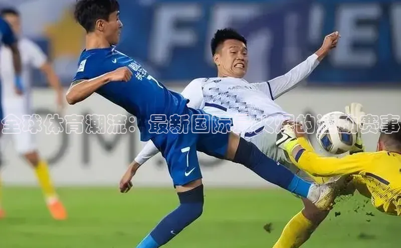 中欧体育官方平台入口