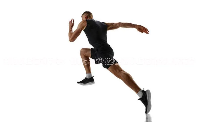 中欧体育官方平台入口网址