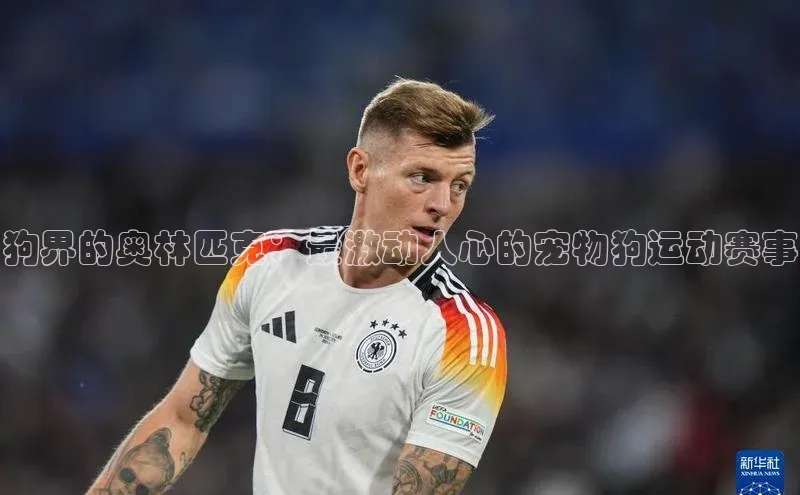 中欧体育app下载