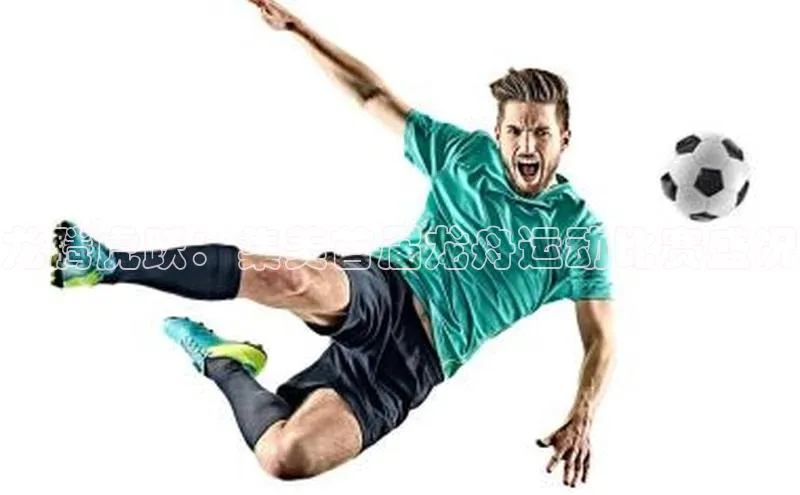 中欧体育全站app在线登录