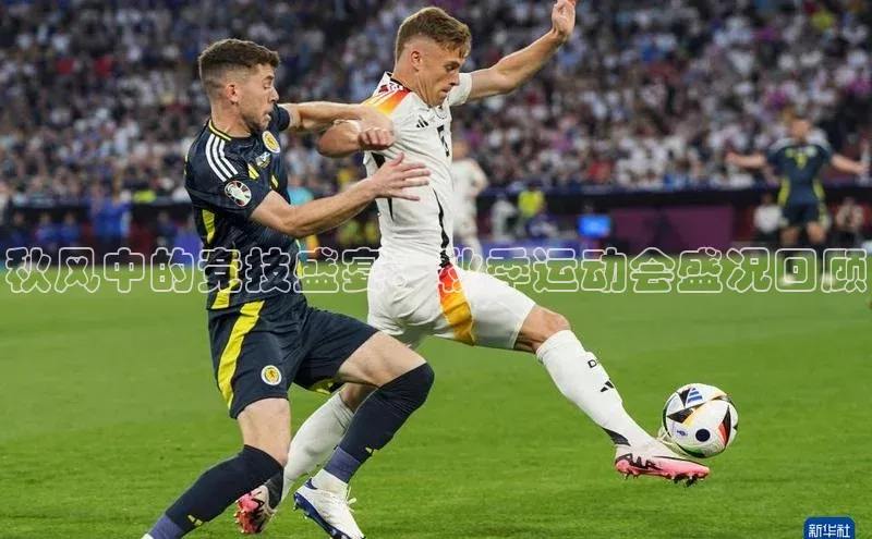 中欧体育app下载