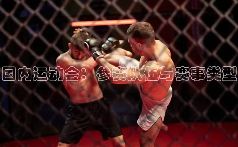 中欧体育官方网站链接