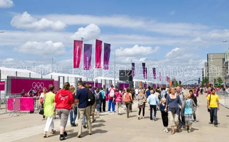 中欧体育官方平台入口