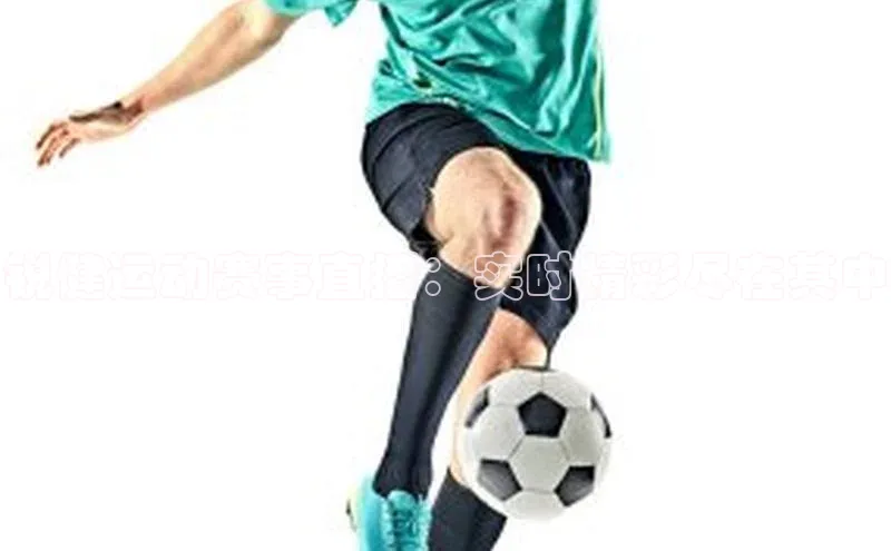 中欧体育官方平台入口网址