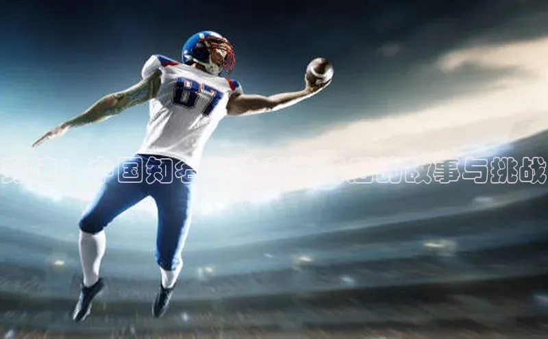 中欧体育网页版入口