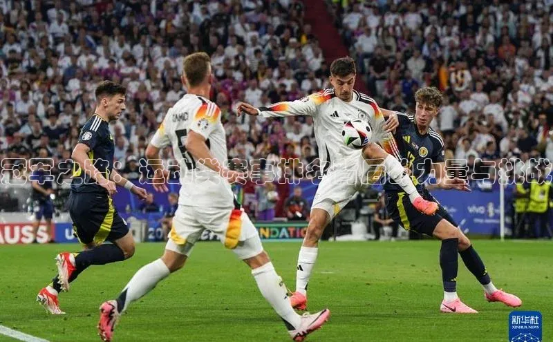 冠军之路：运动类赛事排名背后的力量与挑战