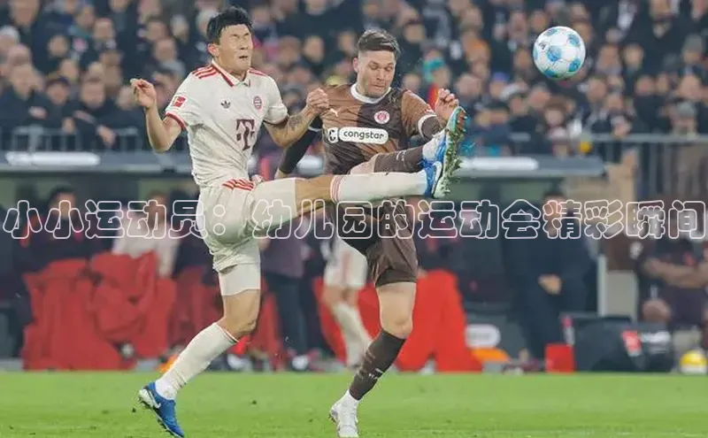 中欧体育官方平台入口下载