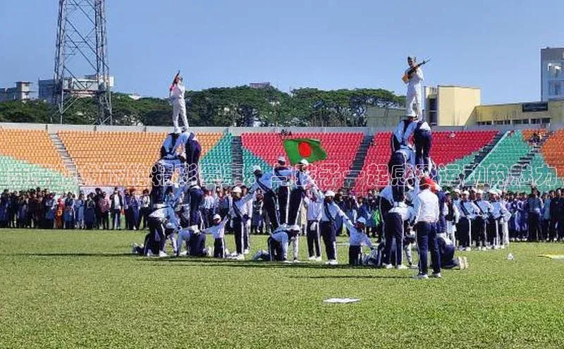 中欧体育官方网站链接
